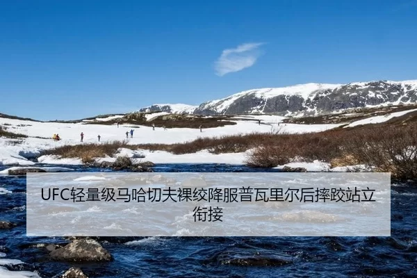 UFC轻量级马哈切夫裸绞降服普瓦里尔后摔跤站立衔接